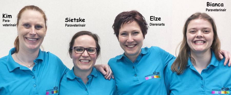 het team van Dierenkliniek Elze